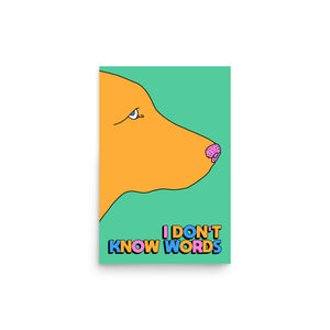 I Don't Know Words Poster