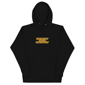 Curiosity Fuels Discovery Embroidered Unisex Hoodie